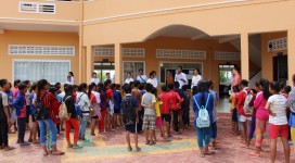 IMG_2720 (800x533)