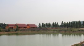 IMG_8330 (800x533)