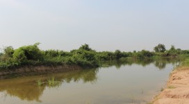IMG_8347 (800x533)