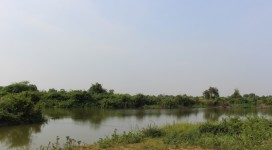 IMG_8349 (800x533)