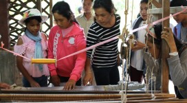 IMG_0891 (800x533)