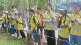 photo_2025-07-08_16-30-11 (900x675)